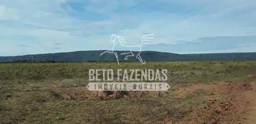 Fazenda Excepcional à Venda 10.312 hectares Potencial para Lavoura | Marcelândia/ MT Fazenda Excepcional à Venda 10.312 hectares Potencial para Lavoura | Marcelândia/ MT