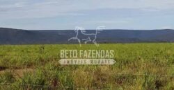 Fazenda Excepcional à Venda 10.312 hectares Potencial para Lavoura | Marcelândia/ MT Fazenda Excepcional à Venda 10.312 hectares Potencial para Lavoura | Marcelândia/ MT