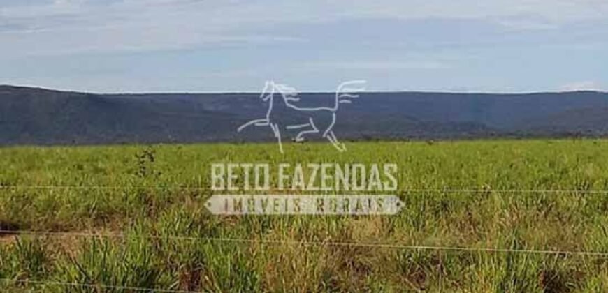 Fazenda Excepcional à Venda 10.312 hectares Potencial para Lavoura | Marcelândia/ MT Fazenda Excepcional à Venda 10.312 hectares Potencial para Lavoura | Marcelândia/ MT