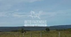 Fazenda Excepcional à Venda 10.312 hectares Potencial para Lavoura | Marcelândia/ MT Fazenda Excepcional à Venda 10.312 hectares Potencial para Lavoura | Marcelândia/ MT