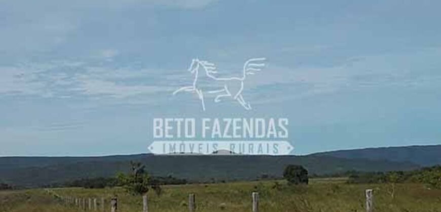 Fazenda Excepcional à Venda 10.312 hectares Potencial para Lavoura | Marcelândia/ MT Fazenda Excepcional à Venda 10.312 hectares Potencial para Lavoura | Marcelândia/ MT