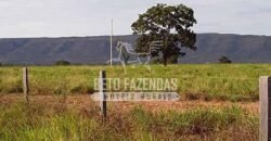 Fazenda Excepcional à Venda 10.312 hectares Potencial para Lavoura | Marcelândia/ MT Fazenda Excepcional à Venda 10.312 hectares Potencial para Lavoura | Marcelândia/ MT