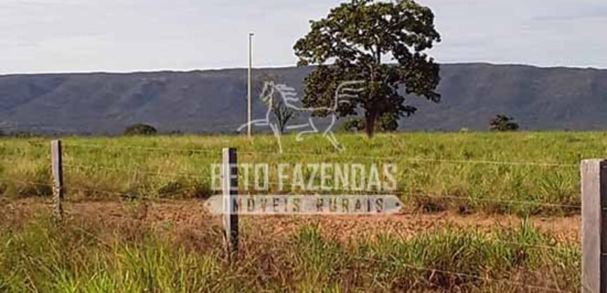 Fazenda Excepcional à Venda 10.312 hectares Potencial para Lavoura | Marcelândia/ MT Fazenda Excepcional à Venda 10.312 hectares Potencial para Lavoura | Marcelândia/ MT
