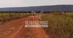 Fazenda Excepcional à Venda 10.312 hectares Potencial para Lavoura | Marcelândia/ MT Fazenda Excepcional à Venda 10.312 hectares Potencial para Lavoura | Marcelândia/ MT