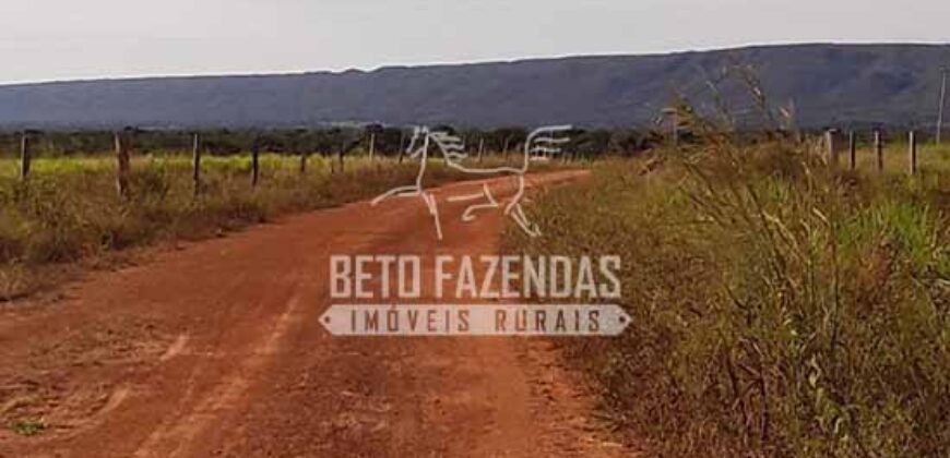 Fazenda Excepcional à Venda 10.312 hectares Potencial para Lavoura | Marcelândia/ MT Fazenda Excepcional à Venda 10.312 hectares Potencial para Lavoura | Marcelândia/ MT