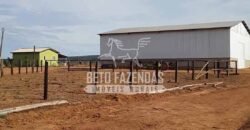 Fazenda Excepcional à Venda 10.312 hectares Potencial para Lavoura | Marcelândia/ MT Fazenda Excepcional à Venda 10.312 hectares Potencial para Lavoura | Marcelândia/ MT