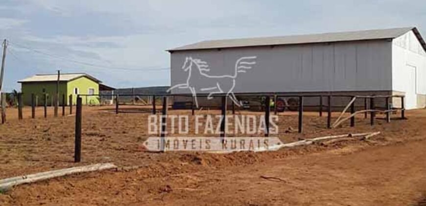 Fazenda Excepcional à Venda 10.312 hectares Potencial para Lavoura | Marcelândia/ MT Fazenda Excepcional à Venda 10.312 hectares Potencial para Lavoura | Marcelândia/ MT