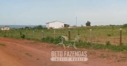 Fazenda Excepcional à Venda 10.312 hectares Potencial para Lavoura | Marcelândia/ MT Fazenda Excepcional à Venda 10.312 hectares Potencial para Lavoura | Marcelândia/ MT