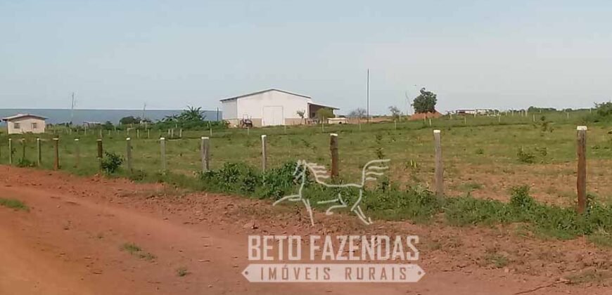 Fazenda Excepcional à Venda 10.312 hectares Potencial para Lavoura | Marcelândia/ MT Fazenda Excepcional à Venda 10.312 hectares Potencial para Lavoura | Marcelândia/ MT