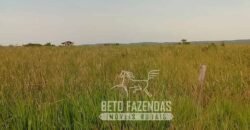 Fazenda Excepcional à Venda 10.312 hectares Potencial para Lavoura | Marcelândia/ MT Fazenda Excepcional à Venda 10.312 hectares Potencial para Lavoura | Marcelândia/ MT