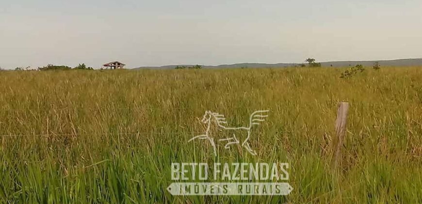 Fazenda Excepcional à Venda 10.312 hectares Potencial para Lavoura | Marcelândia/ MT Fazenda Excepcional à Venda 10.312 hectares Potencial para Lavoura | Marcelândia/ MT