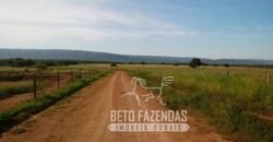 Fazenda Excepcional à Venda 10.312 hectares Potencial para Lavoura | Marcelândia/ MT Fazenda Excepcional à Venda 10.312 hectares Potencial para Lavoura | Marcelândia/ MT