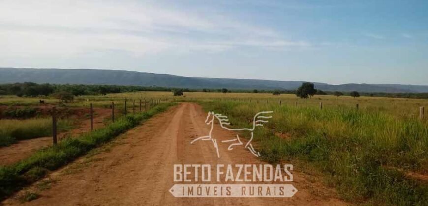 Fazenda Excepcional à Venda 10.312 hectares Potencial para Lavoura | Marcelândia/ MT Fazenda Excepcional à Venda 10.312 hectares Potencial para Lavoura | Marcelândia/ MT