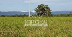 Fazenda Excepcional à Venda 10.312 hectares Potencial para Lavoura | Marcelândia/ MT Fazenda Excepcional à Venda 10.312 hectares Potencial para Lavoura | Marcelândia/ MT