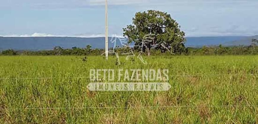 Fazenda Excepcional à Venda 10.312 hectares Potencial para Lavoura | Marcelândia/ MT Fazenda Excepcional à Venda 10.312 hectares Potencial para Lavoura | Marcelândia/ MT