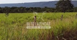 Fazenda Excepcional à Venda 10.312 hectares Potencial para Lavoura | Marcelândia/ MT Fazenda Excepcional à Venda 10.312 hectares Potencial para Lavoura | Marcelândia/ MT
