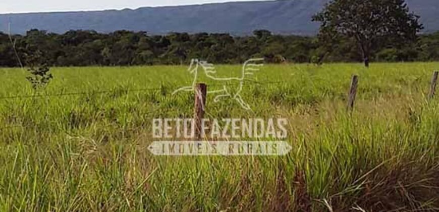 Fazenda Excepcional à Venda 10.312 hectares Potencial para Lavoura | Marcelândia/ MT Fazenda Excepcional à Venda 10.312 hectares Potencial para Lavoura | Marcelândia/ MT