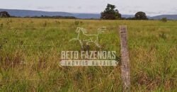 Fazenda Excepcional à Venda 10.312 hectares Potencial para Lavoura | Marcelândia/ MT Fazenda Excepcional à Venda 10.312 hectares Potencial para Lavoura | Marcelândia/ MT