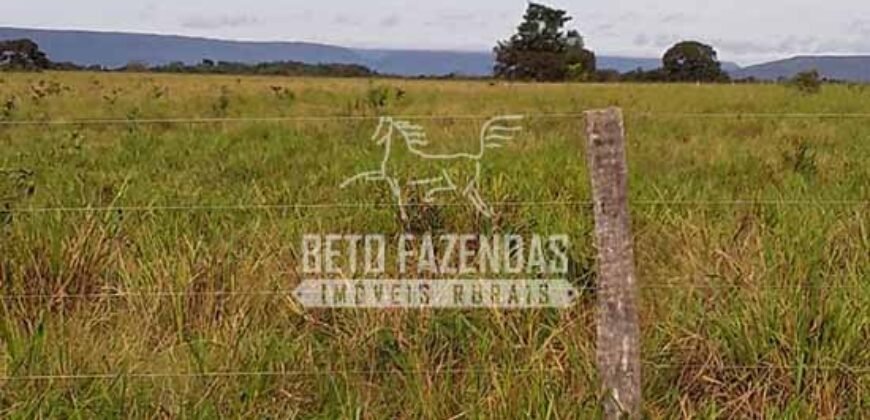 Fazenda Excepcional à Venda 10.312 hectares Potencial para Lavoura | Marcelândia/ MT Fazenda Excepcional à Venda 10.312 hectares Potencial para Lavoura | Marcelândia/ MT