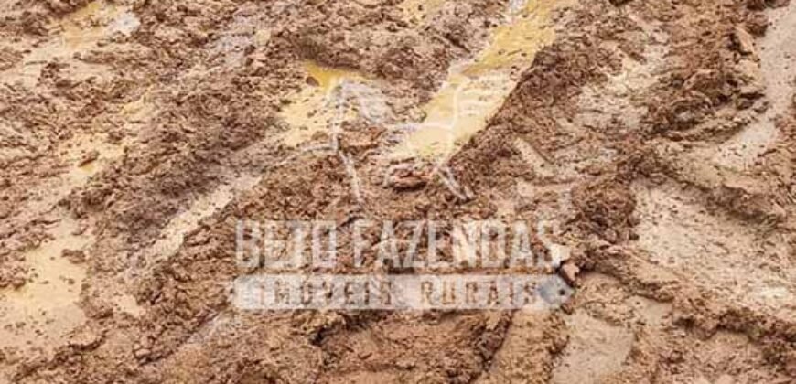 Fazenda Excepcional à Venda 10.312 hectares Potencial para Lavoura | Marcelândia/ MT Fazenda Excepcional à Venda 10.312 hectares Potencial para Lavoura | Marcelândia/ MT