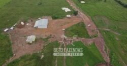 Fazenda Excepcional à Venda 10.312 hectares Potencial para Lavoura | Marcelândia/ MT Fazenda Excepcional à Venda 10.312 hectares Potencial para Lavoura | Marcelândia/ MT