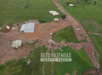 Fazenda Excepcional à Venda 10.312 hectares Potencial para Lavoura | Marcelândia/ MT