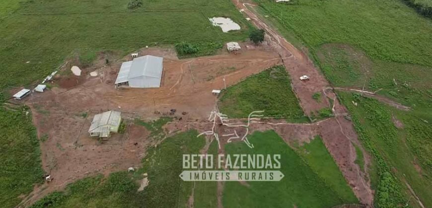 Fazenda Excepcional à Venda 10.312 hectares Potencial para Lavoura | Marcelândia/ MT Fazenda Excepcional à Venda 10.312 hectares Potencial para Lavoura | Marcelândia/ MT