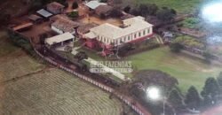 Fazenda Centenária Exclusiva à Venda 282,50 has Investimento no Turismo | São João Del Rei/ MG Fazenda Centenária Exclusiva à Venda 282,50 has Investimento no Turismo | São João Del Rei/ MG