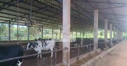 Fazenda Centenária Exclusiva à Venda 282,50 has Investimento no Turismo | São João Del Rei/ MG Fazenda Centenária Exclusiva à Venda 282,50 has Investimento no Turismo | São João Del Rei/ MG