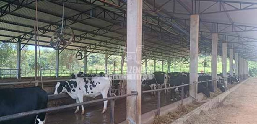 Fazenda Centenária Exclusiva à Venda 282,50 has Investimento no Turismo | São João Del Rei/ MG Fazenda Centenária Exclusiva à Venda 282,50 has Investimento no Turismo | São João Del Rei/ MG