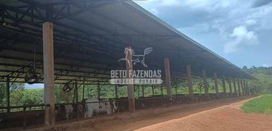 Fazenda Centenária Exclusiva à Venda 282,50 has Investimento no Turismo | São João Del Rei/ MG Fazenda Centenária Exclusiva à Venda 282,50 has Investimento no Turismo | São João Del Rei/ MG