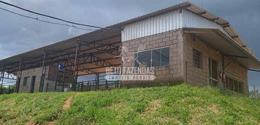 Fazenda Centenária Exclusiva à Venda 282,50 has Investimento no Turismo | São João Del Rei/ MG Fazenda Centenária Exclusiva à Venda 282,50 has Investimento no Turismo | São João Del Rei/ MG