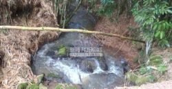 Fazenda Centenária Exclusiva à Venda 282,50 has Investimento no Turismo | São João Del Rei/ MG Fazenda Centenária Exclusiva à Venda 282,50 has Investimento no Turismo | São João Del Rei/ MG