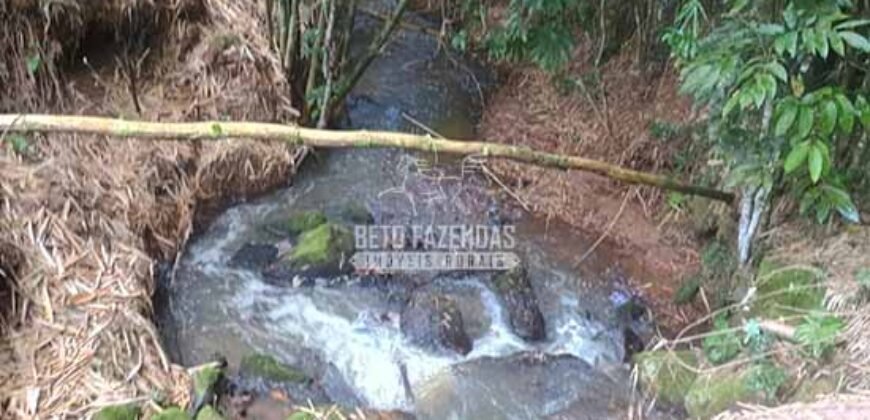 Fazenda Centenária Exclusiva à Venda 282,50 has Investimento no Turismo | São João Del Rei/ MG Fazenda Centenária Exclusiva à Venda 282,50 has Investimento no Turismo | São João Del Rei/ MG