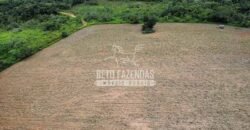 Fazenda Centenária Exclusiva à Venda 282,50 has Investimento no Turismo | São João Del Rei/ MG Fazenda Centenária Exclusiva à Venda 282,50 has Investimento no Turismo | São João Del Rei/ MG