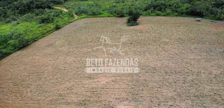 Fazenda Centenária Exclusiva à Venda 282,50 has Investimento no Turismo | São João Del Rei/ MG Fazenda Centenária Exclusiva à Venda 282,50 has Investimento no Turismo | São João Del Rei/ MG