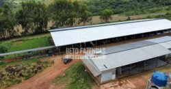 Fazenda Centenária Exclusiva à Venda 282,50 has Investimento no Turismo | São João Del Rei/ MG Fazenda Centenária Exclusiva à Venda 282,50 has Investimento no Turismo | São João Del Rei/ MG