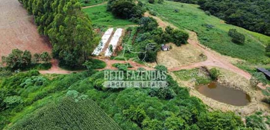 Fazenda Centenária Exclusiva à Venda 282,50 has Investimento no Turismo | São João Del Rei/ MG Fazenda Centenária Exclusiva à Venda 282,50 has Investimento no Turismo | São João Del Rei/ MG