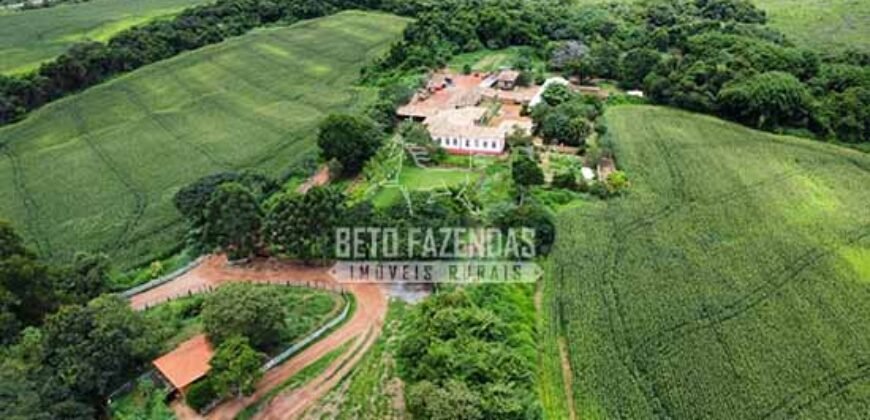 Fazenda Centenária Exclusiva à Venda 282,50 has Investimento no Turismo | São João Del Rei/ MG Fazenda Centenária Exclusiva à Venda 282,50 has Investimento no Turismo | São João Del Rei/ MG