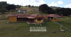 Oportunidade de Investimento 73 hectares Dupla Aptidão | São Tiago/MG