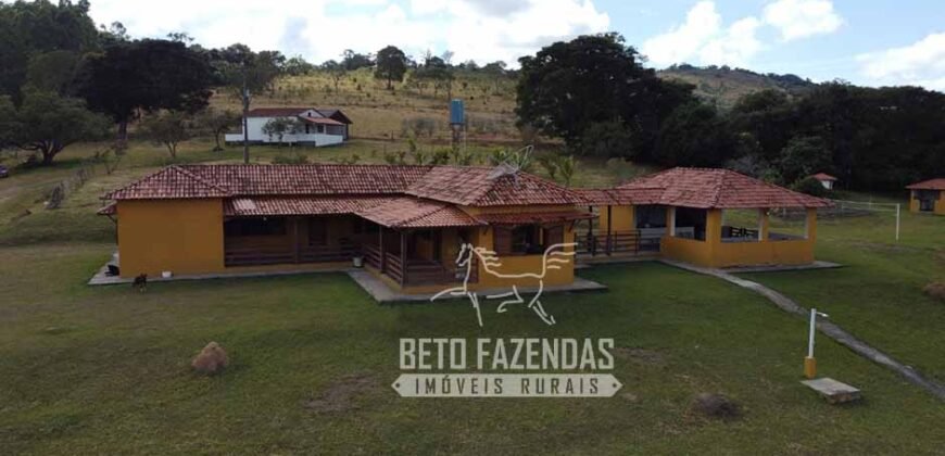 Oportunidade de Investimento 73 hectares Dupla Aptidão | São Tiago/MG