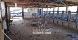 Oportunidade de Investimento 73 hectares Dupla Aptidão | São Tiago/MG