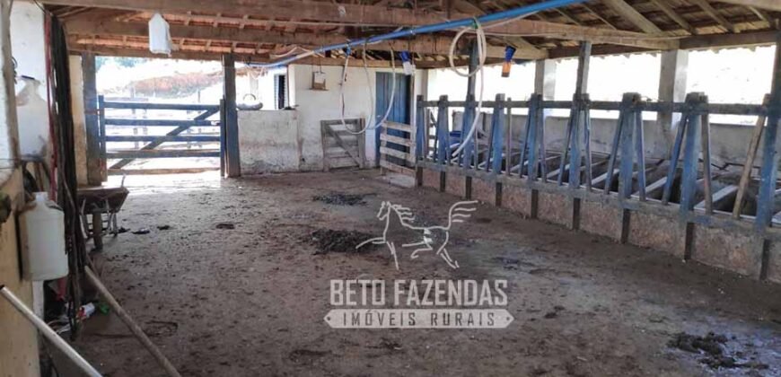 Oportunidade de Investimento 73 hectares Dupla Aptidão | São Tiago/MG