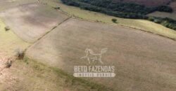 Oportunidade de Investimento 73 hectares Dupla Aptidão | São Tiago/MG