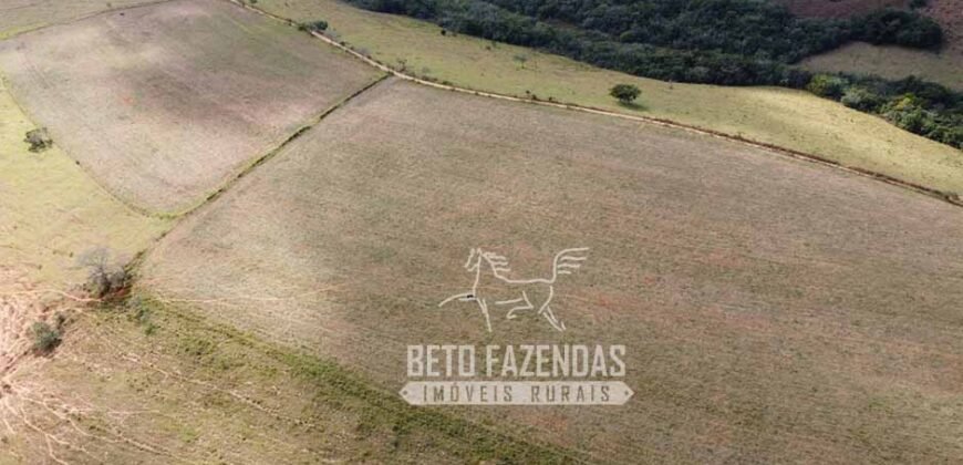Oportunidade de Investimento 73 hectares Dupla Aptidão | São Tiago/MG