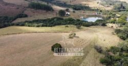 Oportunidade de Investimento 73 hectares Dupla Aptidão | São Tiago/MG