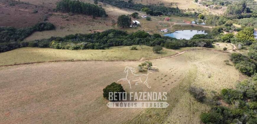 Oportunidade de Investimento 73 hectares Dupla Aptidão | São Tiago/MG
