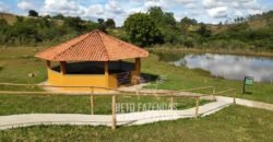 Oportunidade de Investimento 73 hectares Dupla Aptidão | São Tiago/MG