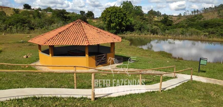 Oportunidade de Investimento 73 hectares Dupla Aptidão | São Tiago/MG