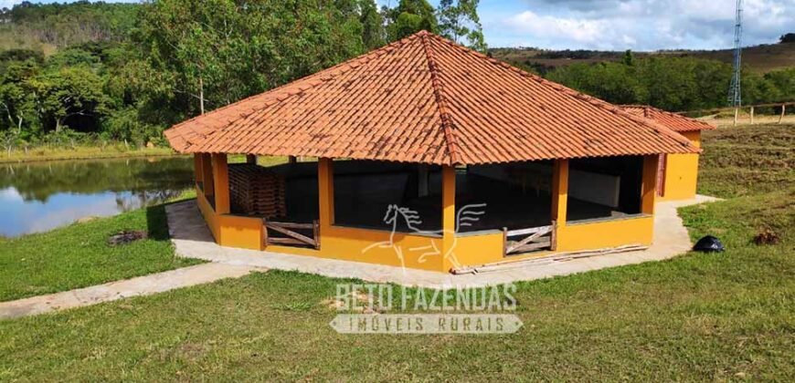 Oportunidade de Investimento 73 hectares Dupla Aptidão | São Tiago/MG